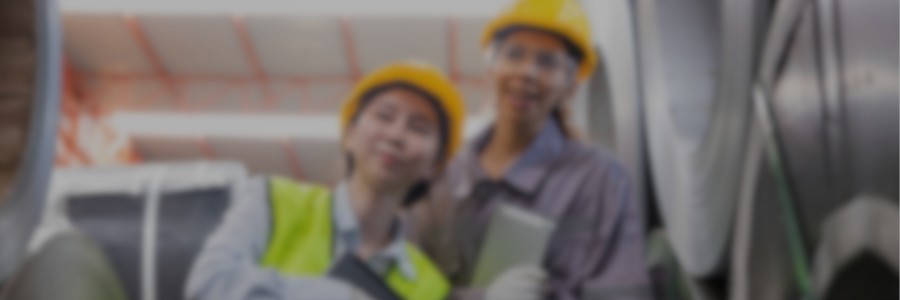 APP0427NI – Practical Guidelines for the fabrication of Austenitic Stainless Steels